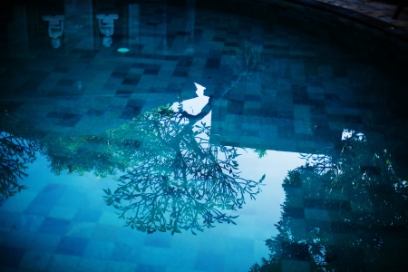 Blue water in swimming pool and little budha and treeの写真素材