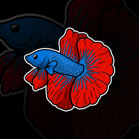 Betta fish halfmoon design premiumのイラスト素材