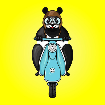 Panda racer in helmet on scooter.のイラスト素材