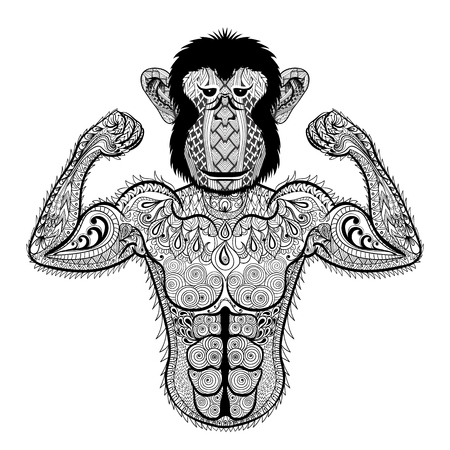 Zentangle stylized strong Monkey like Bodybuilder. Hand Drawn sport vector illustration isolated on white background. Vintage sketch for tattoo design or makhenda. Animal art collection.のイラスト素材