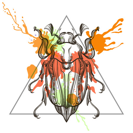 Zentangle stylized  May bug, Scarab Bettle in triangle frame with watercolor ink drop. Hand Drawn doodle vector illustration. Sketch for tattoo or makhenda. Animal collection.のイラスト素材