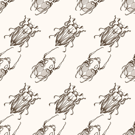 Hand drawn engraving Sketch of Scarab Beetle, May bug or European diving beetle. Vector nature seamless pattern.のイラスト素材