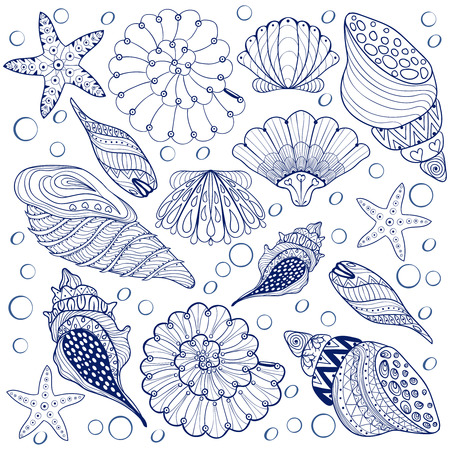Vector set Shells, zentangle blue seashells for adult anti stress Coloring pages, patterned sea shell illustration for tattoos with high details. hand drawn sketch, Artistically decorative henna printのイラスト素材