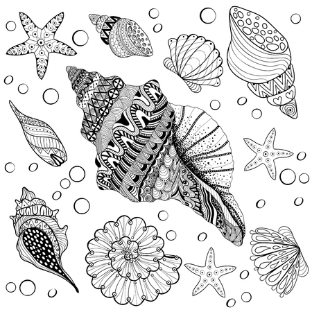 Vector set Shells, zentangle seeshell for adult anti stress Coloring pages, patterned sea shell, cockleshell illustration for tattoos with high details. hand drawn sketch, Artistically decorative henna print for t-shirtのイラスト素材