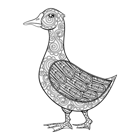 Vector zentangle magic goose, black print for adult anti stress coloring page. Hand drawn artistically ethnic ornamental patterned illustration. Domestic bird collection.の写真素材