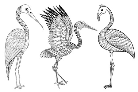 Zentangle Hand drawn Stork, Flamingo, Brolga for adult antistress coloring pages, post card, t-shirt print, fabric. Bird set illustration in doodle style, tattoo monochrome design. Animal sketch.のイラスト素材