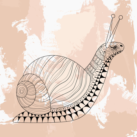 Hand drawn Snail for adult anti stress colouring pages, post card, mehendi t-shirt print,  icon on grunge background. Isolated animal illustration in doodle, boho style, henna tattoo design.のイラスト素材