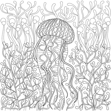 jellyfish, medusa in style. Hand drawn Sea animal in water among seaweed for adult antistress coloring page book, art therapy. illustration. Monochrome sketch, t-shirt print.のイラスト素材