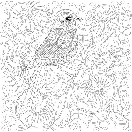 Bird. Cartoon exotic and tropical hummingbird on branch in patterned doodle style. sketch for adult antistress coloring page book, t-shirt print, tattoo, artのイラスト素材