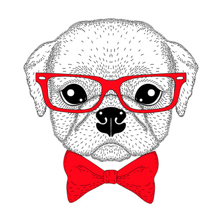 Cute pug boy portrait with bow tie, hipster glasses. Hand drawn dog face, anthropomorphic fashion animal cartoon illustration for t-shirt print, kids greeting card, intitation for pets party.のイラスト素材
