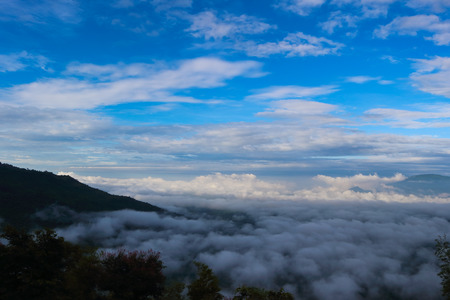 sea of mist in Thailand