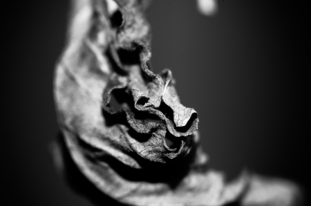 abstractの写真素材