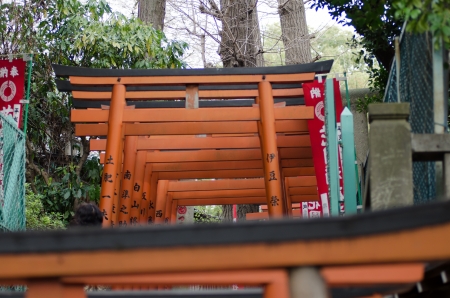 torii のeditorial素材