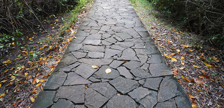 Stone bridge at Intertidal forest