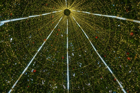 Within the Big Christmas treeの写真素材