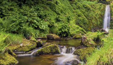 waterfall in wild green grassの写真素材