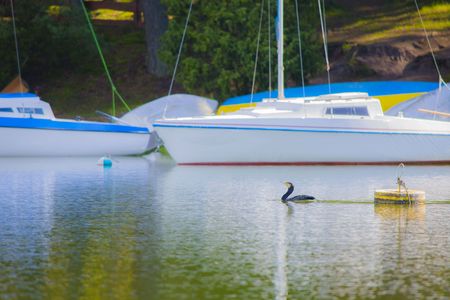 coast with yachts. Yachting.の写真素材