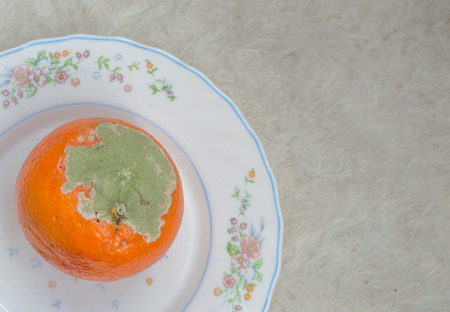 Moldy orange with white backgroundの写真素材