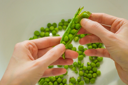 Woman podding fresh green peas in a white bowlの写真素材
