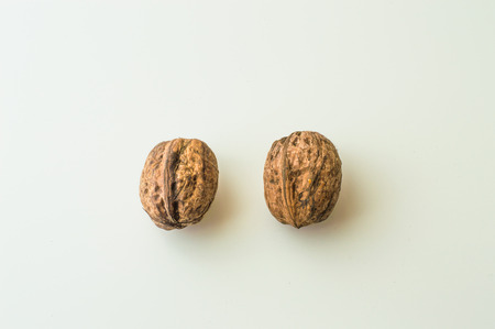 Walnuts in shell on a white backgroundの写真素材