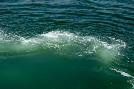 Foamy Sea Surface With Wavesの写真素材