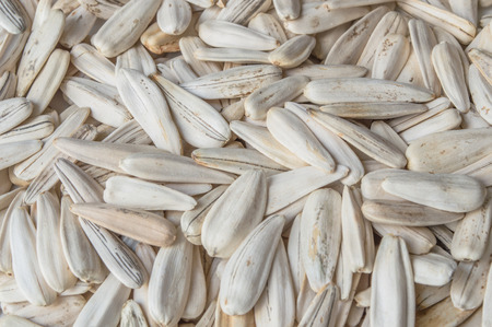 Dry sunflower seed  close upの写真素材