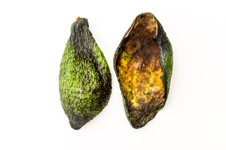 Dried Shell of Avocado on a White Backgroundの写真素材