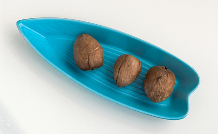 Three avocado seeds served in a blue plateの写真素材