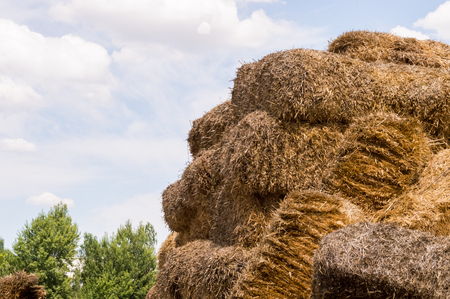 Closeup of hay bales in a village. Dry hay stacks in a rural scene.の写真素材