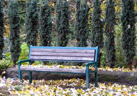 Park bench in autumn