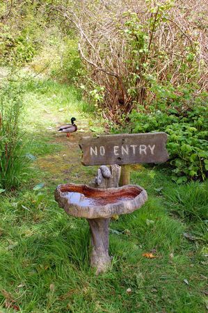 Garden pathway with birdbath and duckの写真素材