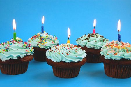 Row of chocolate cupcakesの写真素材