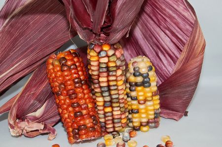 Rainbow cornの写真素材