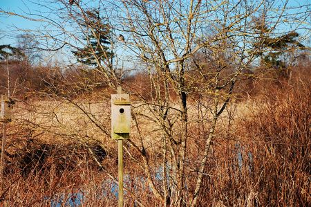 Birdhouse in marshの写真素材