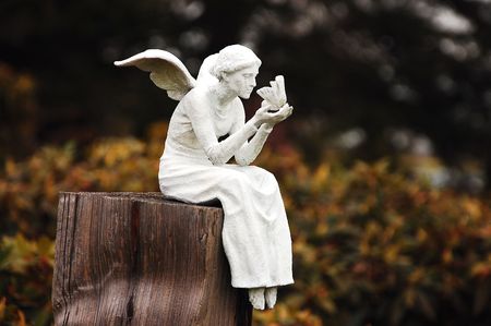 White fairy sitting on postの写真素材