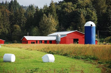 Red and blue farm housesの写真素材