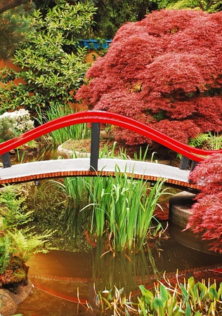 Colorful japanese gardenの写真素材