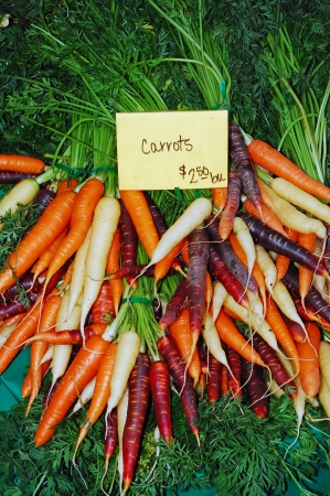 Colorful winter carrots at the marketの写真素材