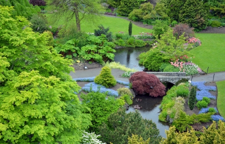 Lush colorful spring garden with pondの写真素材