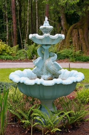 Blue swan water fountain in botanical garden