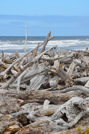 Pile of driftwood on beach with ocean surf in backgroundの写真素材