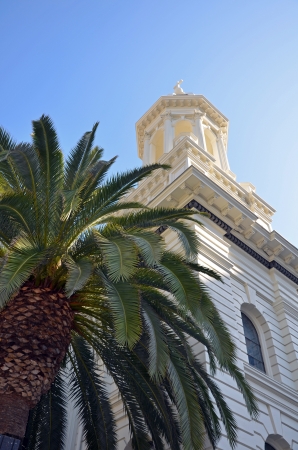 View of church steeple and palm treesの写真素材