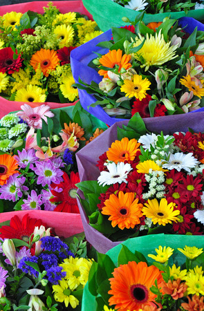 Colorful gerber floral bouquets on display at the florist