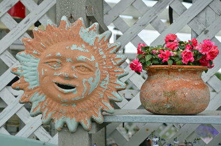 Pink begonia flowers in flowerpot and decorative sunfaceの写真素材