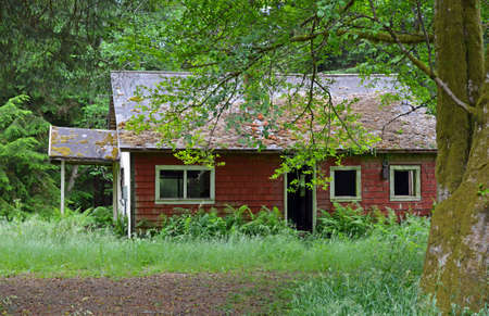 Creepy old abandoned house in forestの写真素材