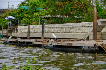 boat trip on the Chao Phraya river