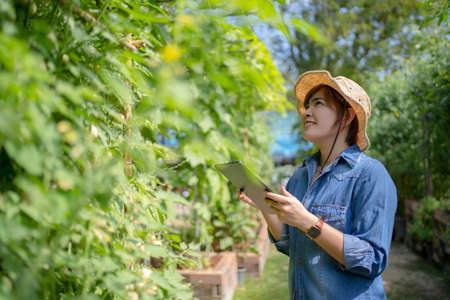 Farmers are recording data on tablets at farm.の写真素材