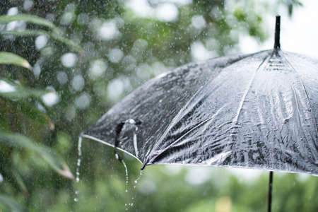 Rain drops falling from a black umbrella concept for bad weather, winter or protection.の写真素材