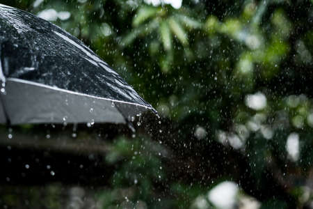 A person with an umbrella in the rain.の写真素材
