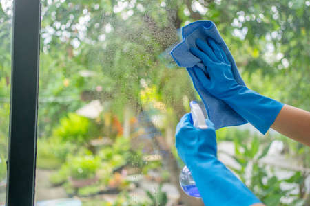 Cleaning concept, asian people wiping dust using a spray and a duster while cleaning in glass at home.の写真素材